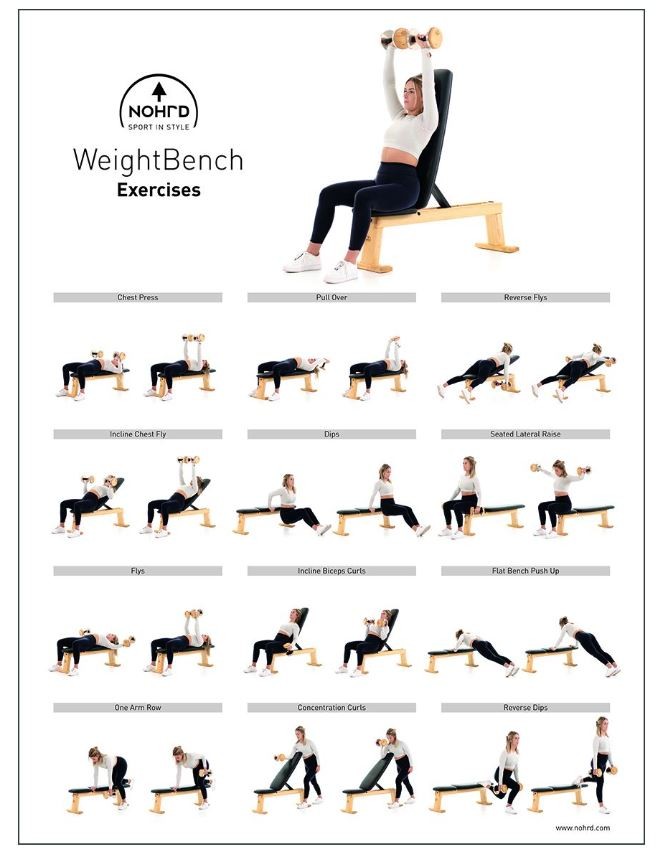 NOHrD WeightBench Leinwand