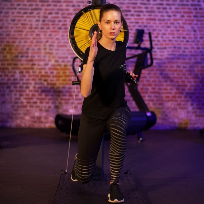 Renegade HIIT Air Ski mit Bodenplatte (ASKI200)
