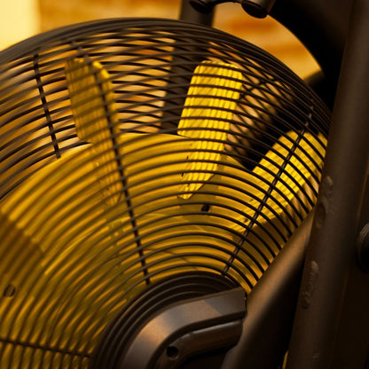 Renegade AirBike AB100