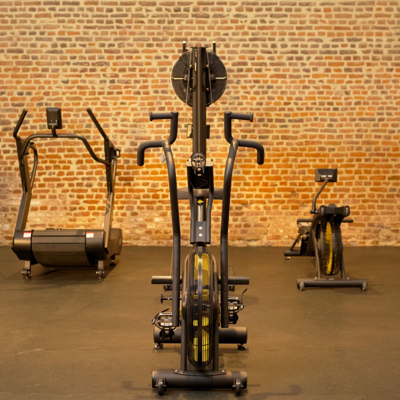 Renegade AirBike AB100