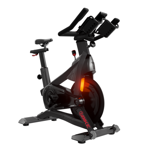 Schwinn Z Bike Indoor Cycle