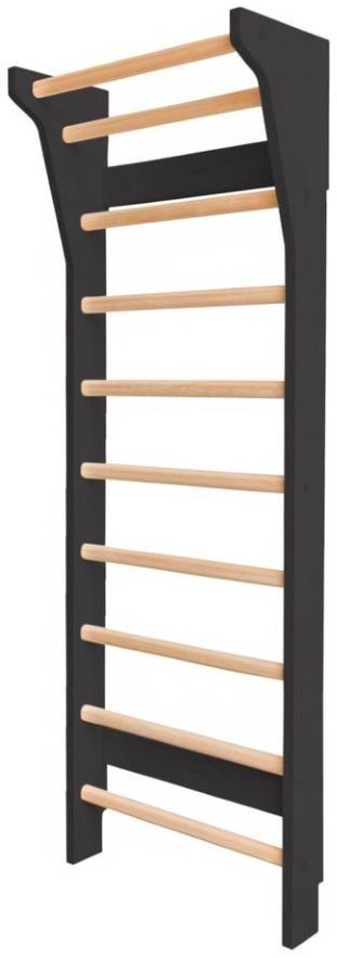 Fitwood Sprossenwand TAIMI Mini schwarzes Holz-Birke