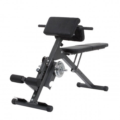Finnlo Bauch- und Rückentrainer / Ab&Back Trainer (3869)