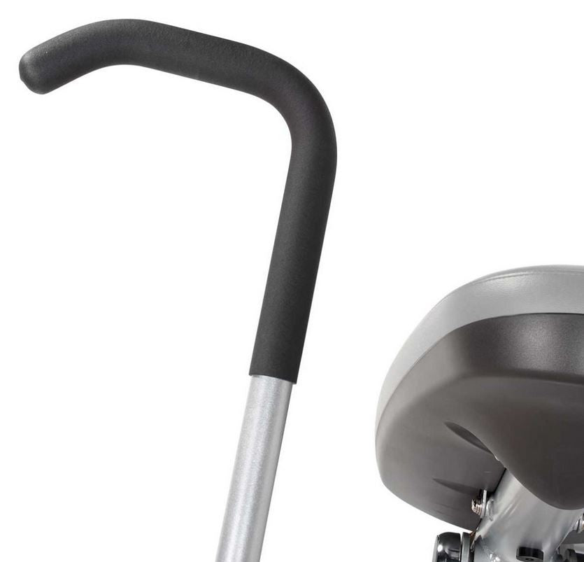 Hoist Fitness ROC-IT Trizeps Extension (RS-1103)