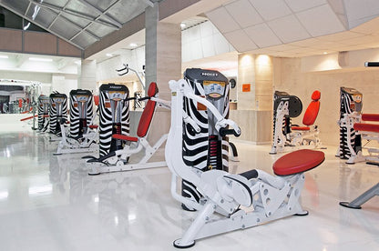 Personalisierte Gewichtsmagazinverkleidung Standard für Hoist Fitness RS- und HD-Kraftgeräteserie