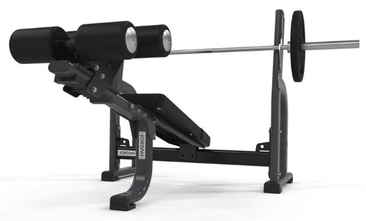 Jordan Olympic Decline Bench Pro (JL-ODB)