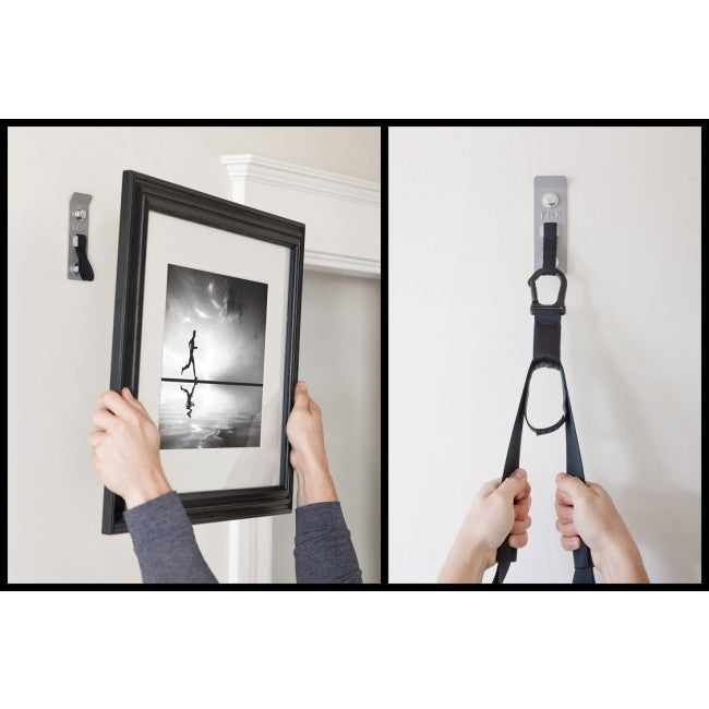 TRX Invizi Mount