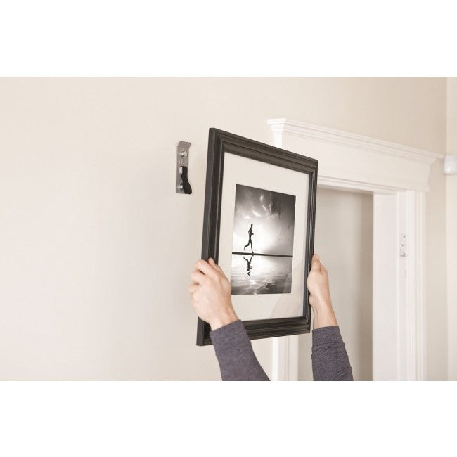 TRX Invizi Mount