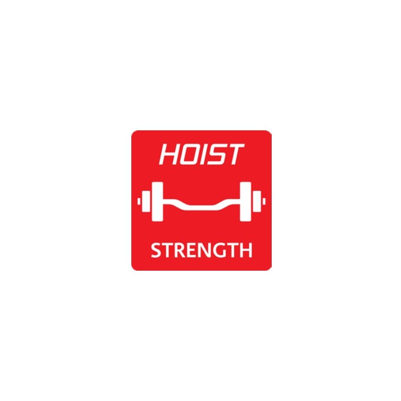 Hoist Fitness V4 Elite Gym mit V-Ride Beinpresse