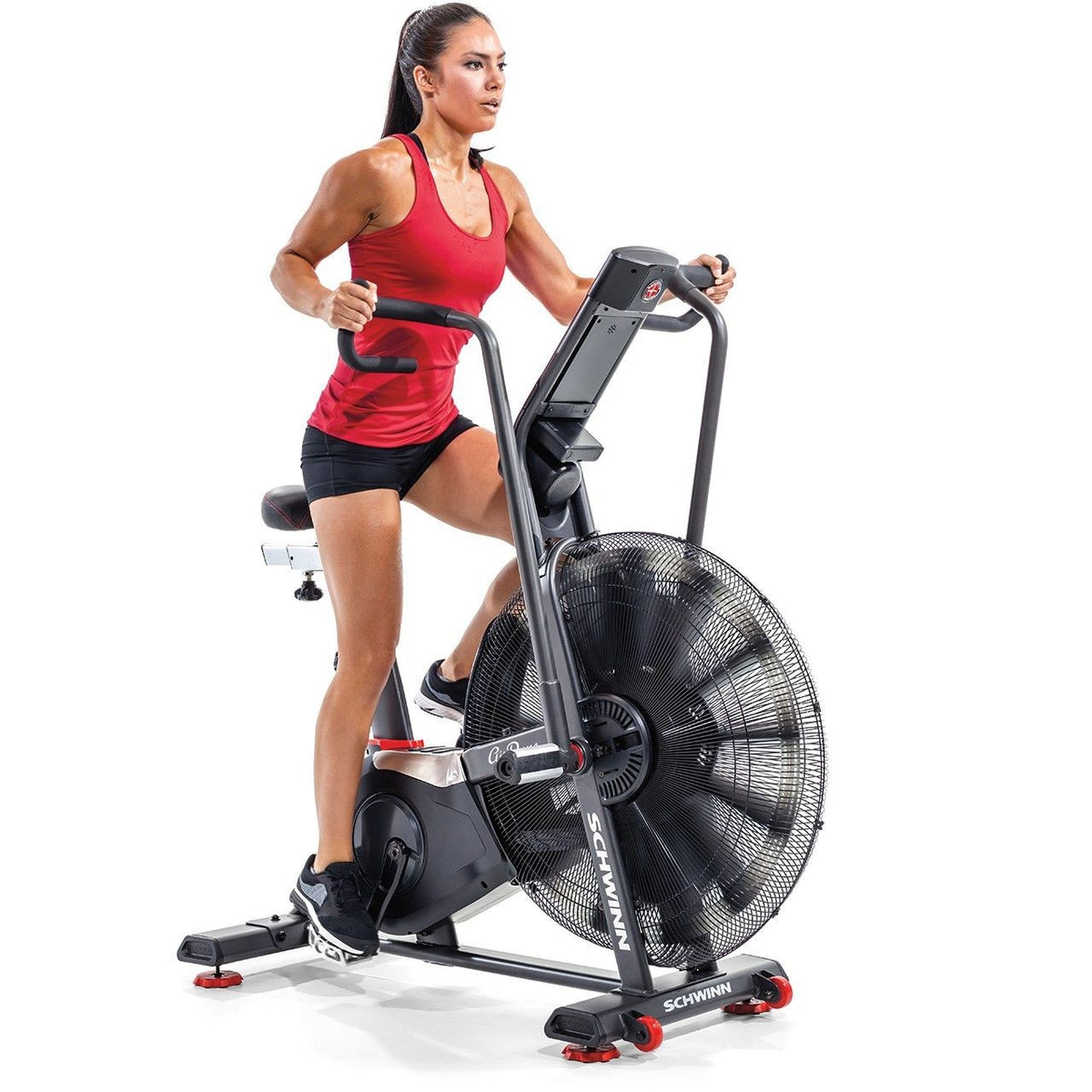 Schwinn  Airdyne AD8i AirBike