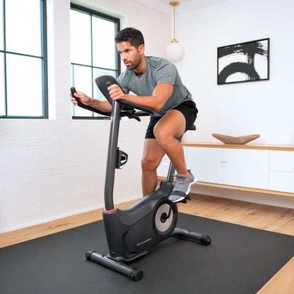 Schwinn 510U Heimtrainer