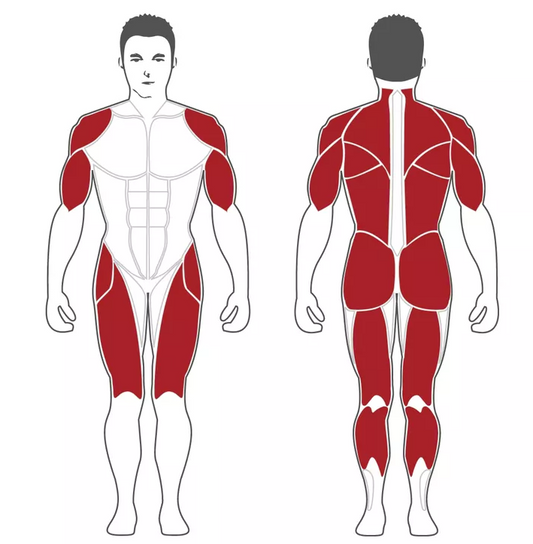 Steelflex Dual Squat/Dead Lift (PL2300-BR)