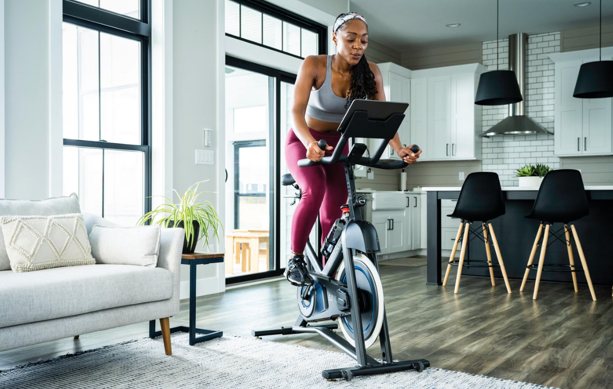 Horizon Fitness 5.0IC Indoor Cycle