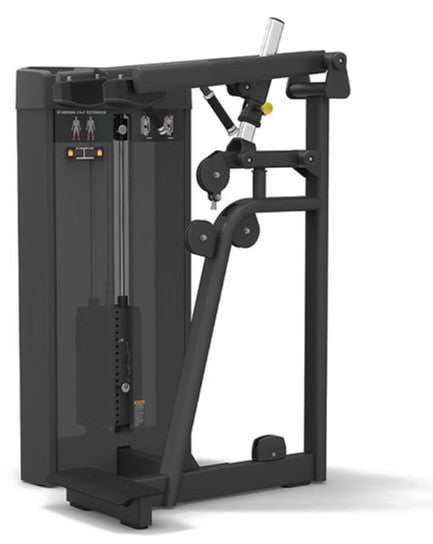 Spirit Fitness Commercial Standing Calf (SP-4317)