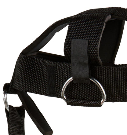 Schiek Head Harness - Nackentrainer (1500H)