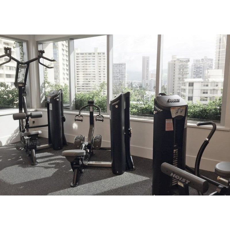 Hoist Fitness ROC-IT LINE - GYM SET - mit 16 Maschinen