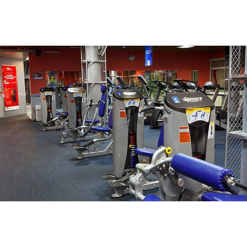 Hoist Fitness ROC-IT LINE - GYM SET - mit 16 Maschinen