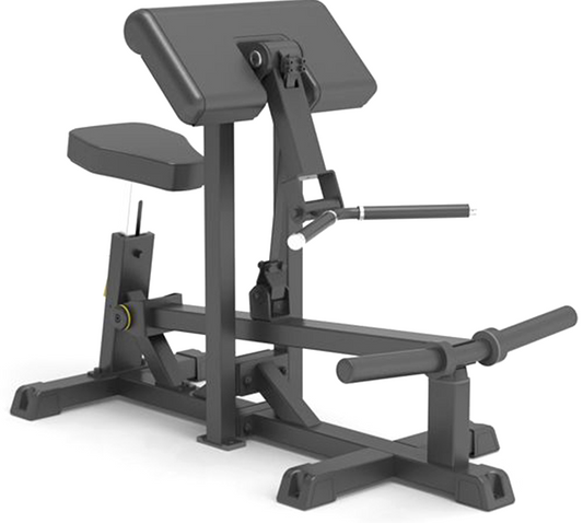 Impulse Fitness Biceps Curl (IFP1501)