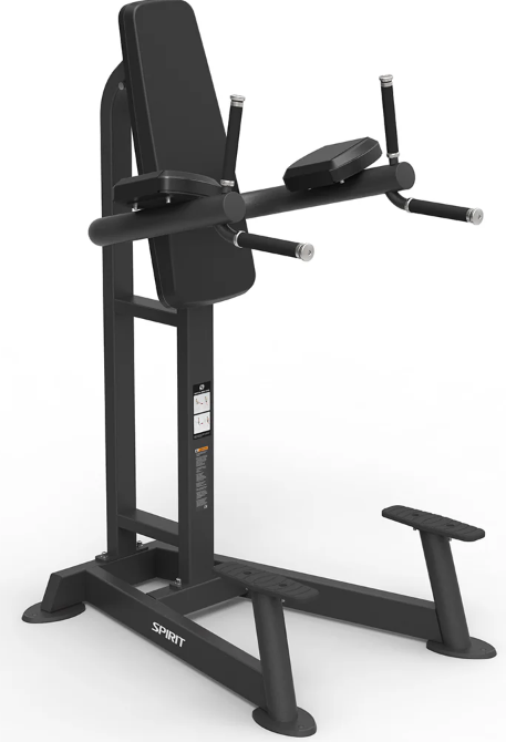 Spirit Fitness Commercial Leg Raise / Dip (SP-4215)