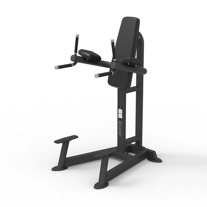 Spirit Fitness Commercial Leg Raise / Dip (SP-4215)