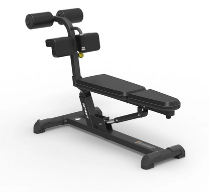 Spirit Fitness Commercial Adjustable Ab Bench (SP-4218)