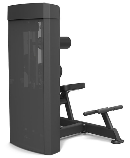 Spirit Fitness Commercial Dual Abdominal / Back Extension Doppelfunktionsgerät (SP-4609)