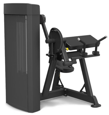 Spirit Fitness Commercial Dual Biceps Curl/ Triceps Extension Doppelfunktionsgerät (SP-4607)