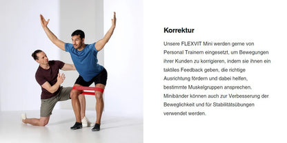 Flexvit Powerband Mini