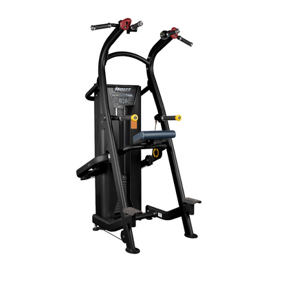 Hoist Fitness Klimmzug/Dip (HD-3701)