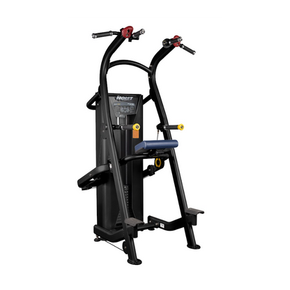 Hoist Fitness Klimmzug/Dip (HD-3701)