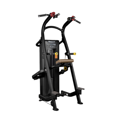 Hoist Fitness Klimmzug/Dip (HD-3701)