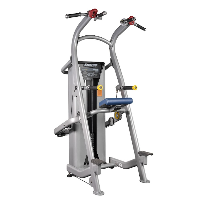 Hoist Fitness Klimmzug/Dip (HD-3701)