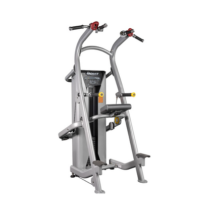 Hoist Fitness Klimmzug/Dip (HD-3701)