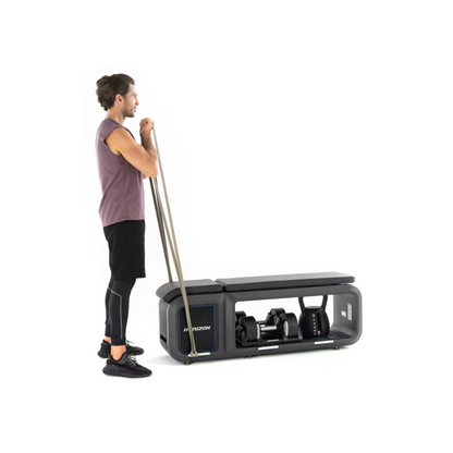 Horizon Fitness Bench