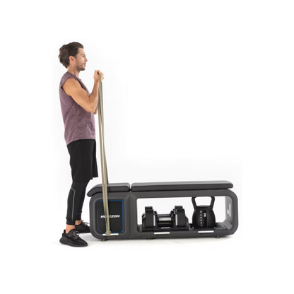 Horizon Fitness Bench
