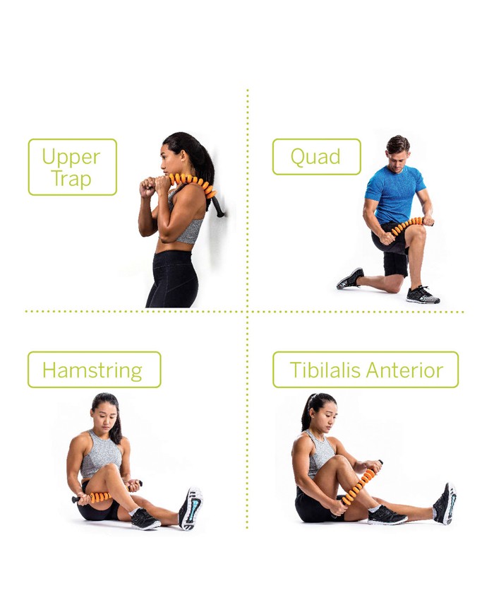 Trigger Point Grid STK Contour