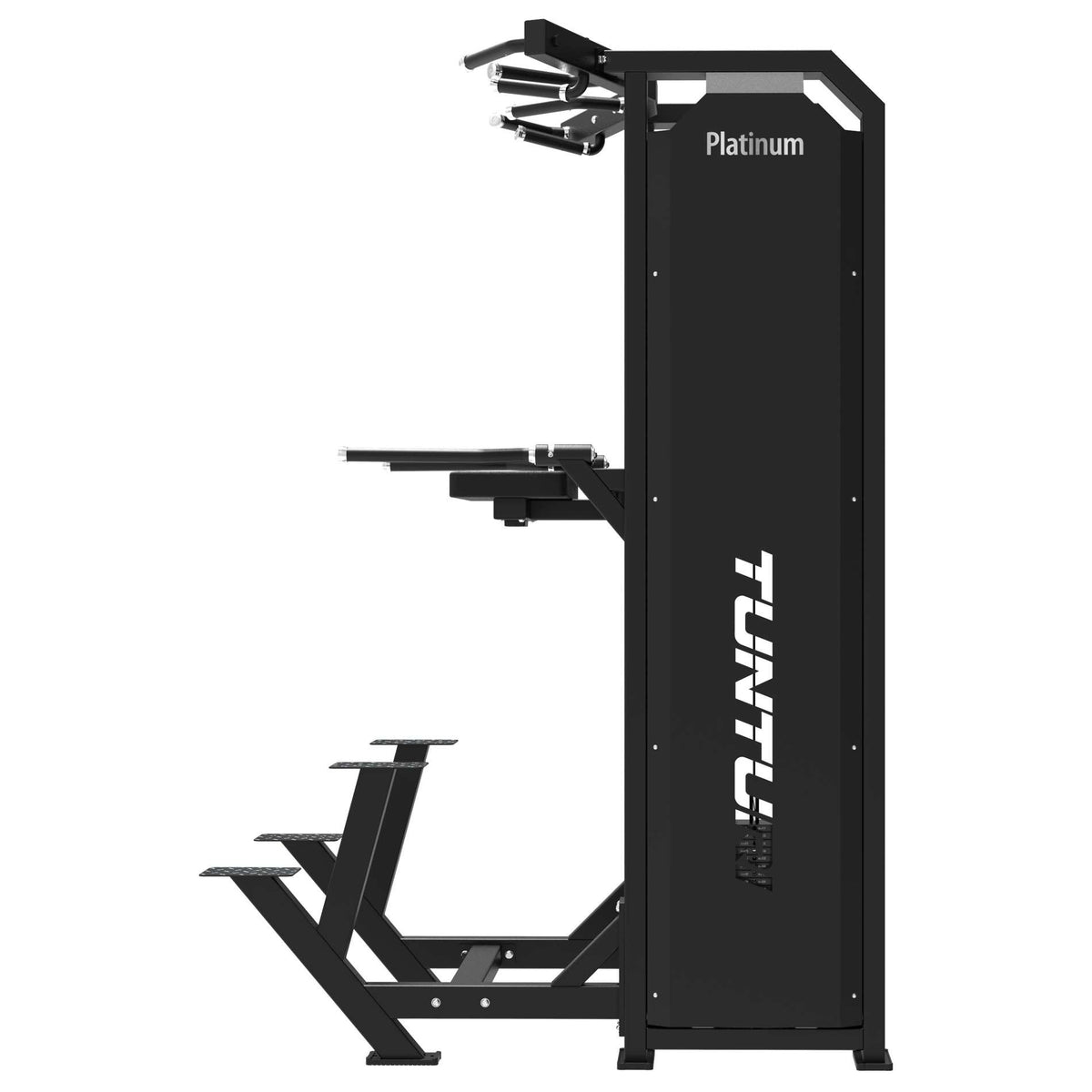 Tunturi Platinum Dual Assisted Chin Up-Dip - Selectorized