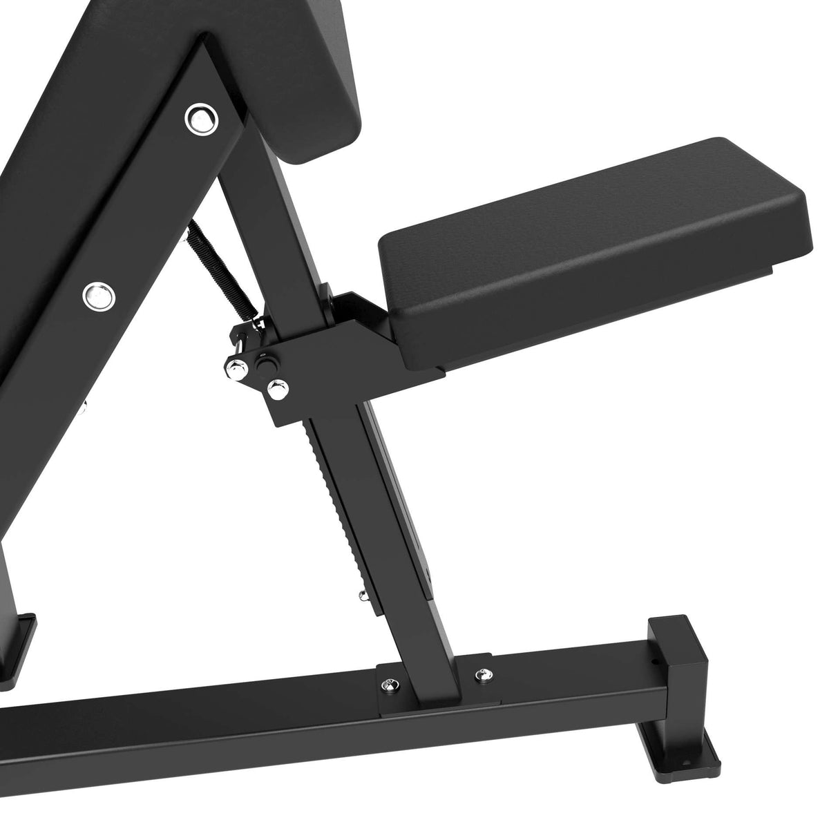 Tunturi Platinum Preacher Curl