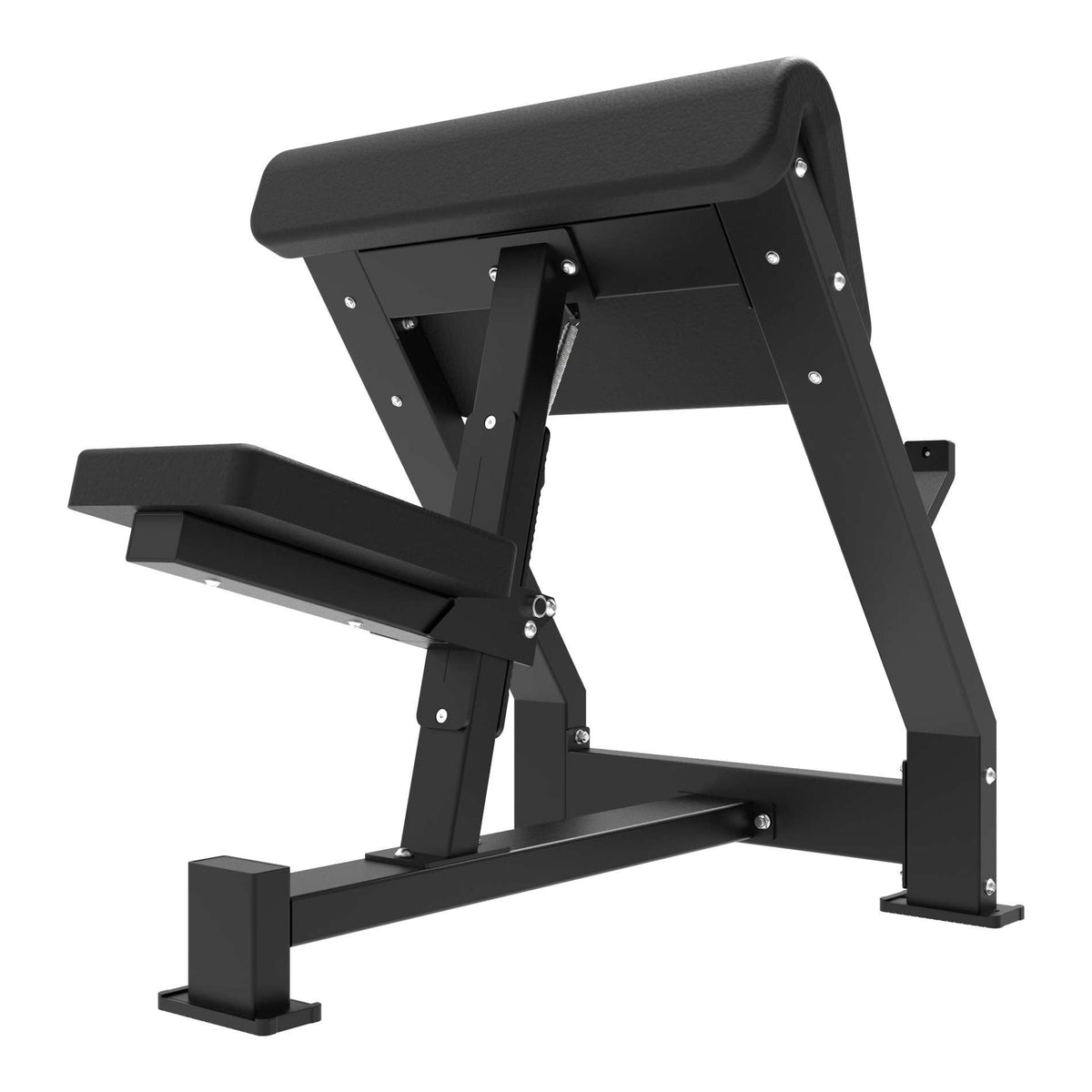 Tunturi Platinum Preacher Curl
