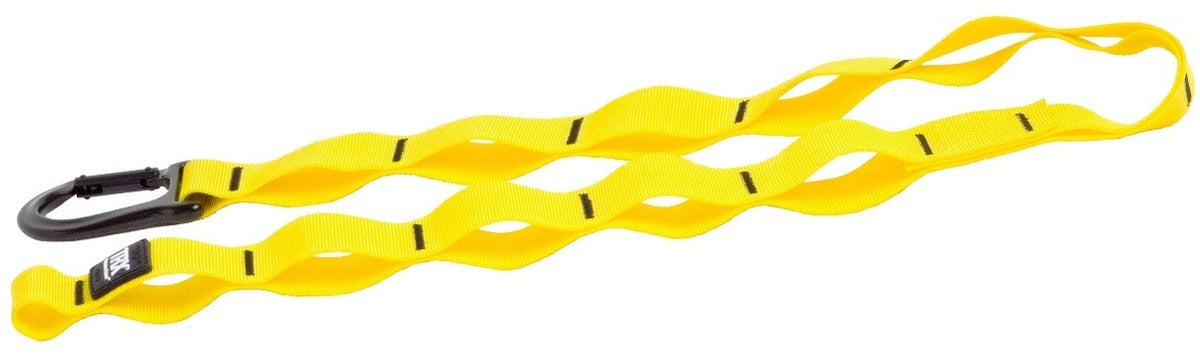 TRX Suspension Anchor mit Karabiner