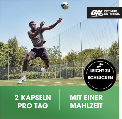 Optimum Nutrition Creatine 2500 (200 Kapseln)