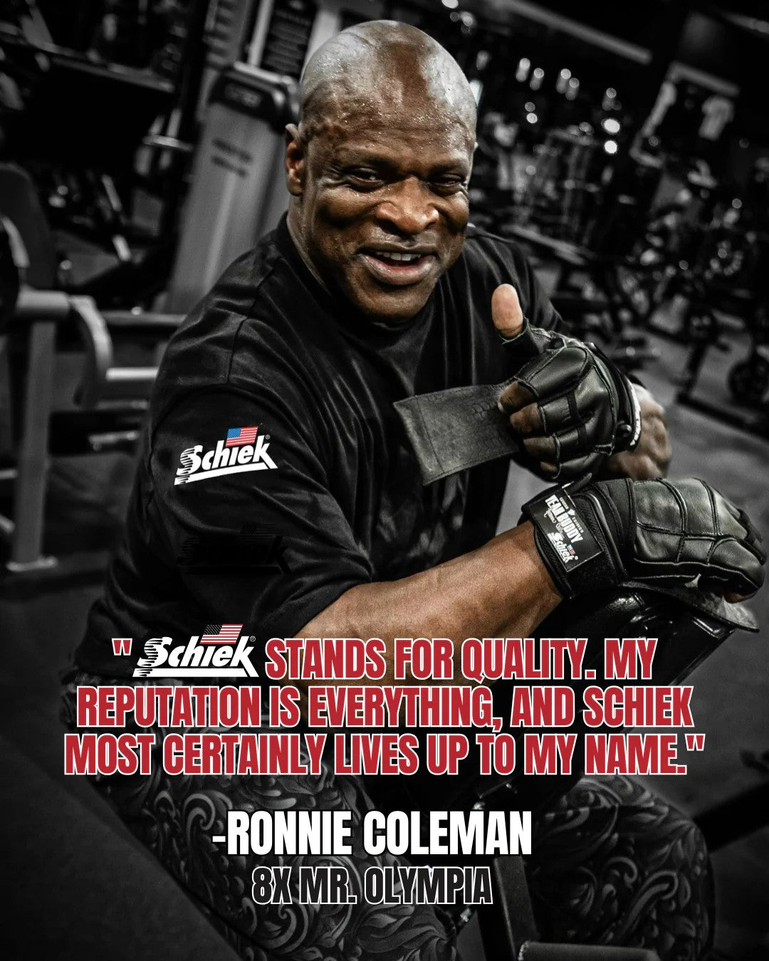 Schiek Ronnie Coleman Carbon Fiber Lifting Belt RCCF4006