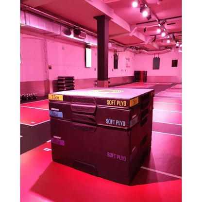 Jordan Plyometrische Boxen, Set mit 5 Boxen (JLSPB2-5)