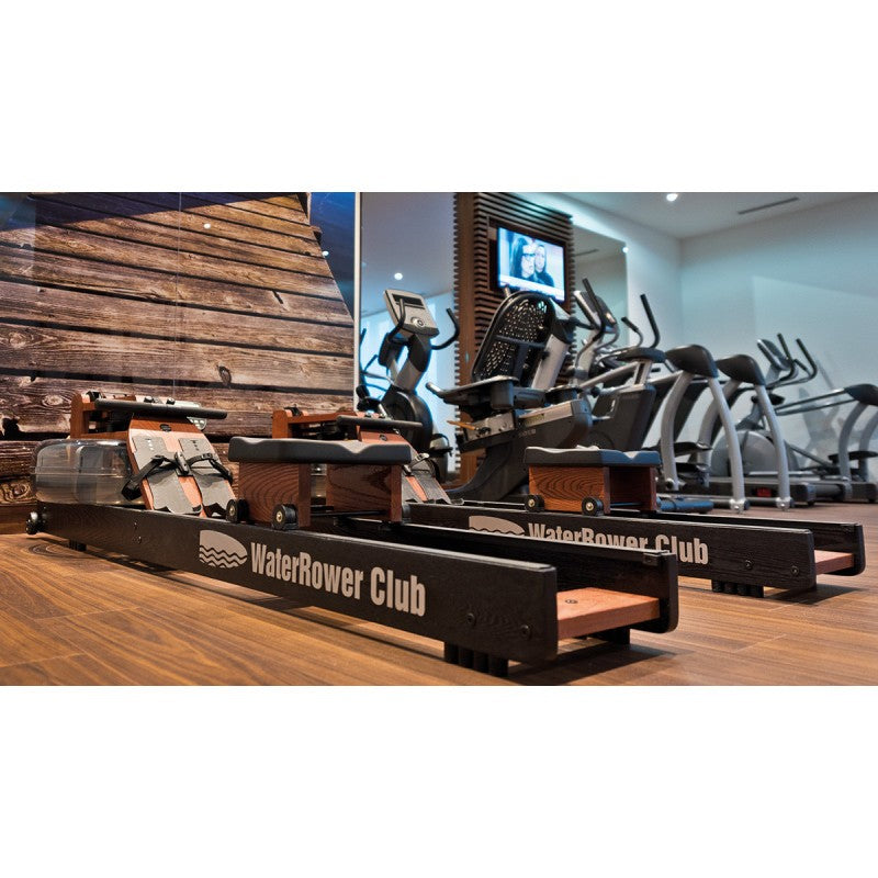 WaterRower Rudergerät Club-Sport
