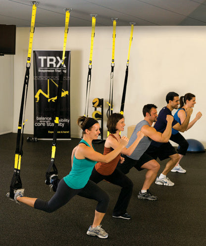 TRX Xmount grau