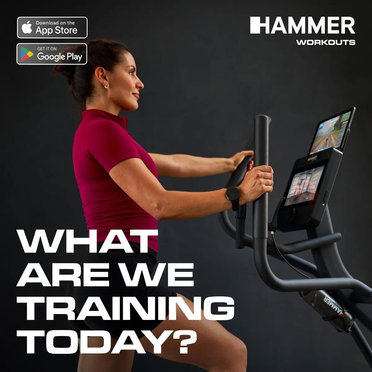 Hammer Maximum Ellipsentrainer E-Glide Acceleton